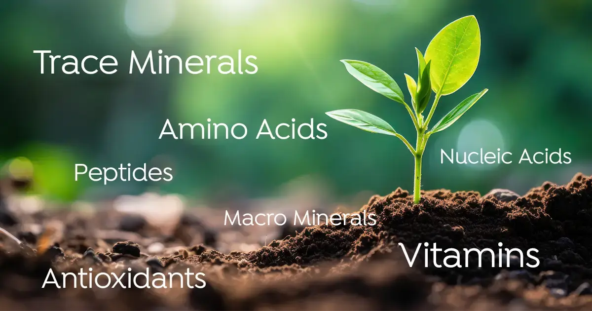 A Complete Guide to Fulvic Minerals, Benefits, and Uses A Complete Guide to Fulvic Minerals, Benefits, and Uses