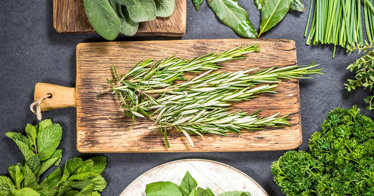 Top 12 Antioxidant Herbs for Better Health